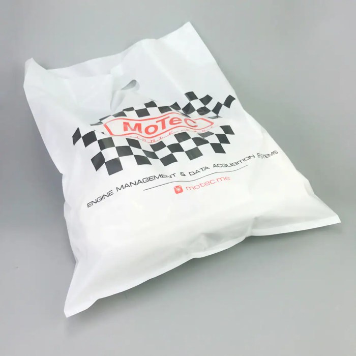 Customized shopping bags with logo reviewed by 1000+ users #77